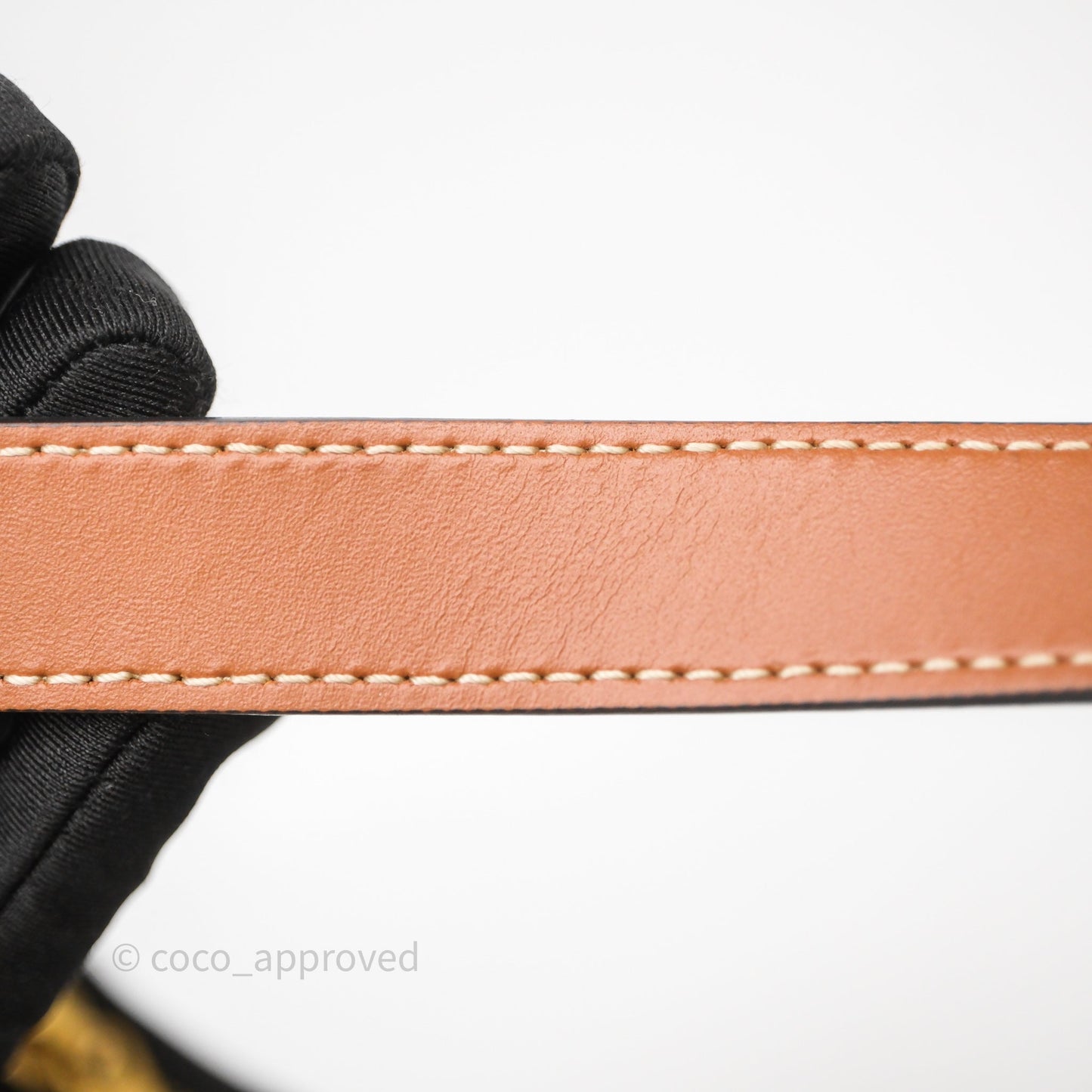 Celine Ava Bag In Triomphe Canvas Calfskin Tan