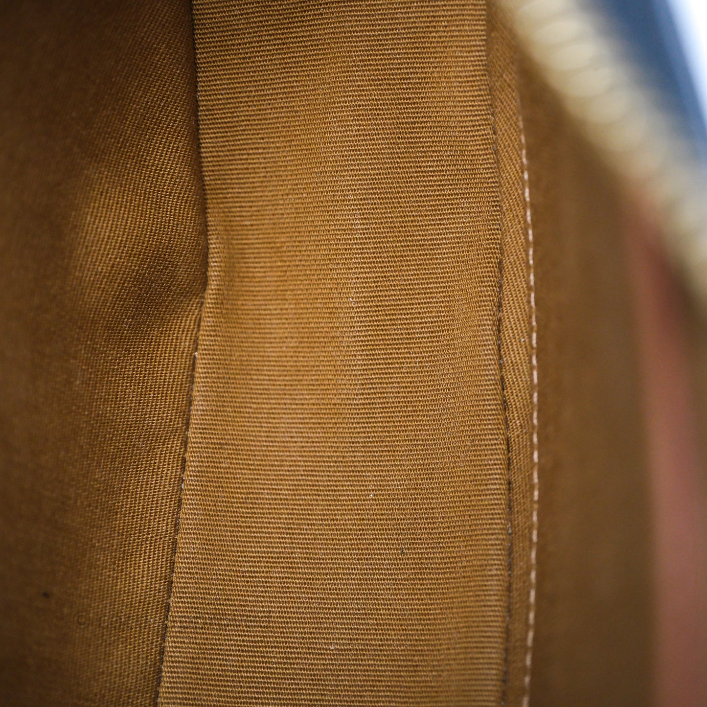 Celine Ava Bag In Triomphe Canvas Calfskin Tan