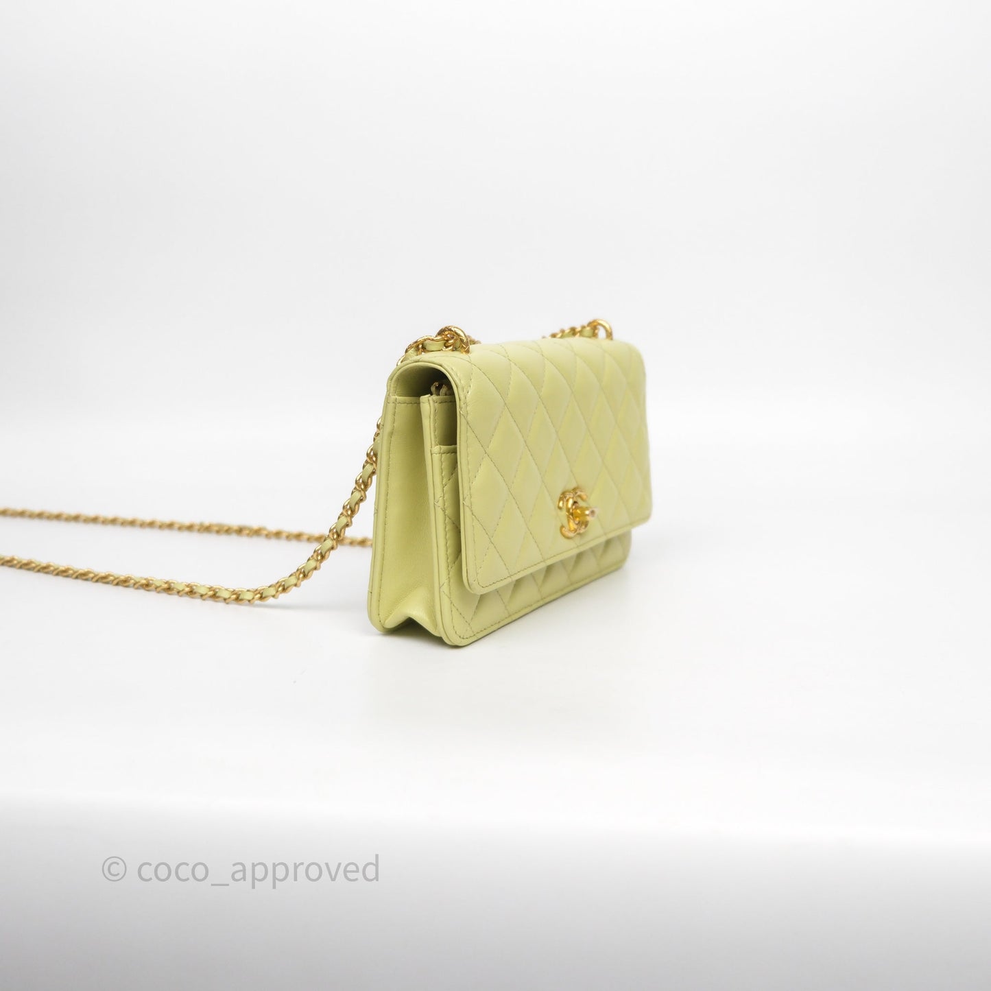 Chanel Double Chain WOC Iridescent Avocado Green Lambskin Aged Gold Hardware 23C