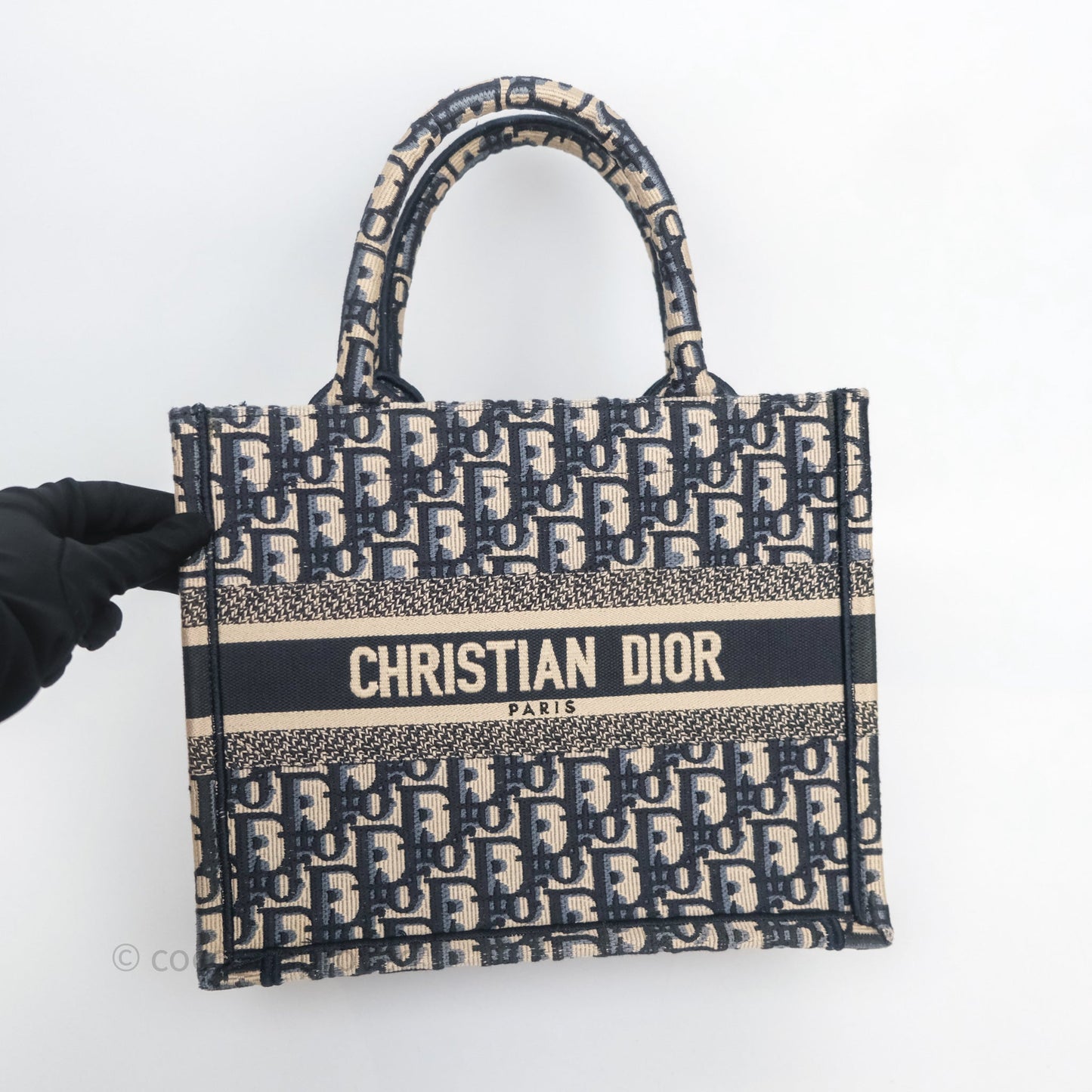 Christian Dior Small Dior Oblique Embroidery Canvas Book Tote