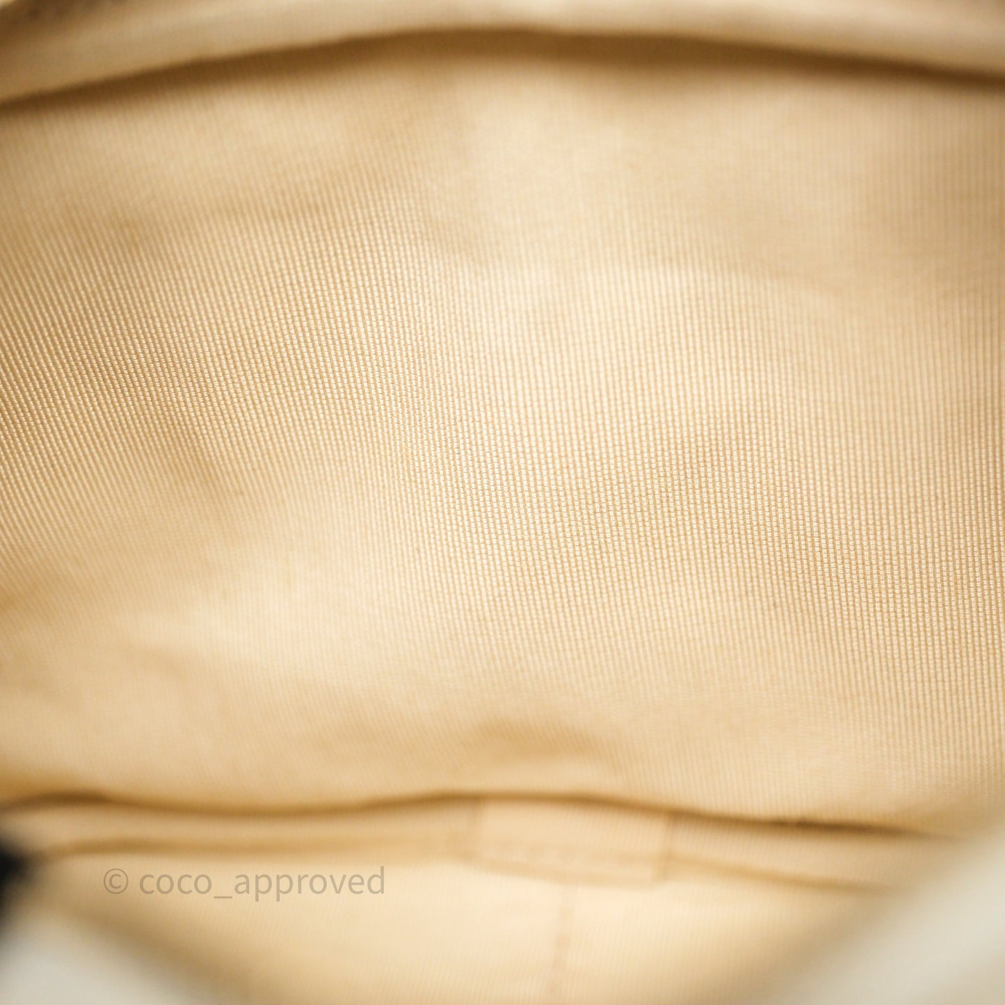 Chanel Mini Camera Bag Light Beige Caviar Gold Hardware