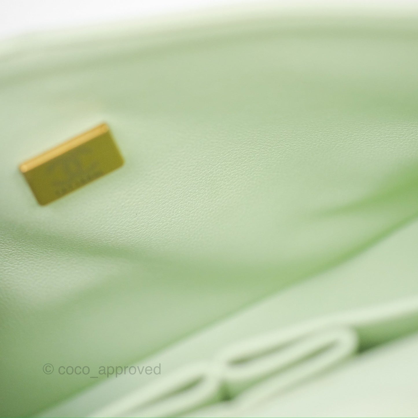 Chanel Small Quilted Classic Flap Mint Green Caviar Gold Hardware 22C