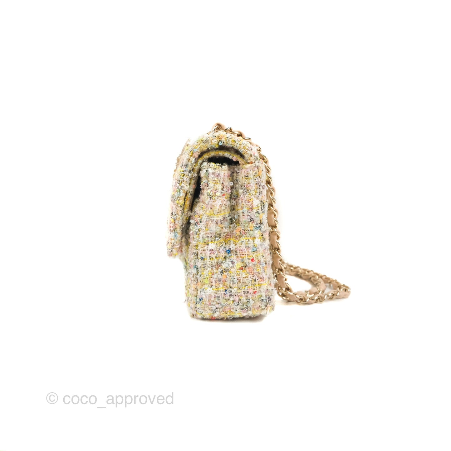 Chanel Reissue 225 Tweed Pastel Garden Party Flap