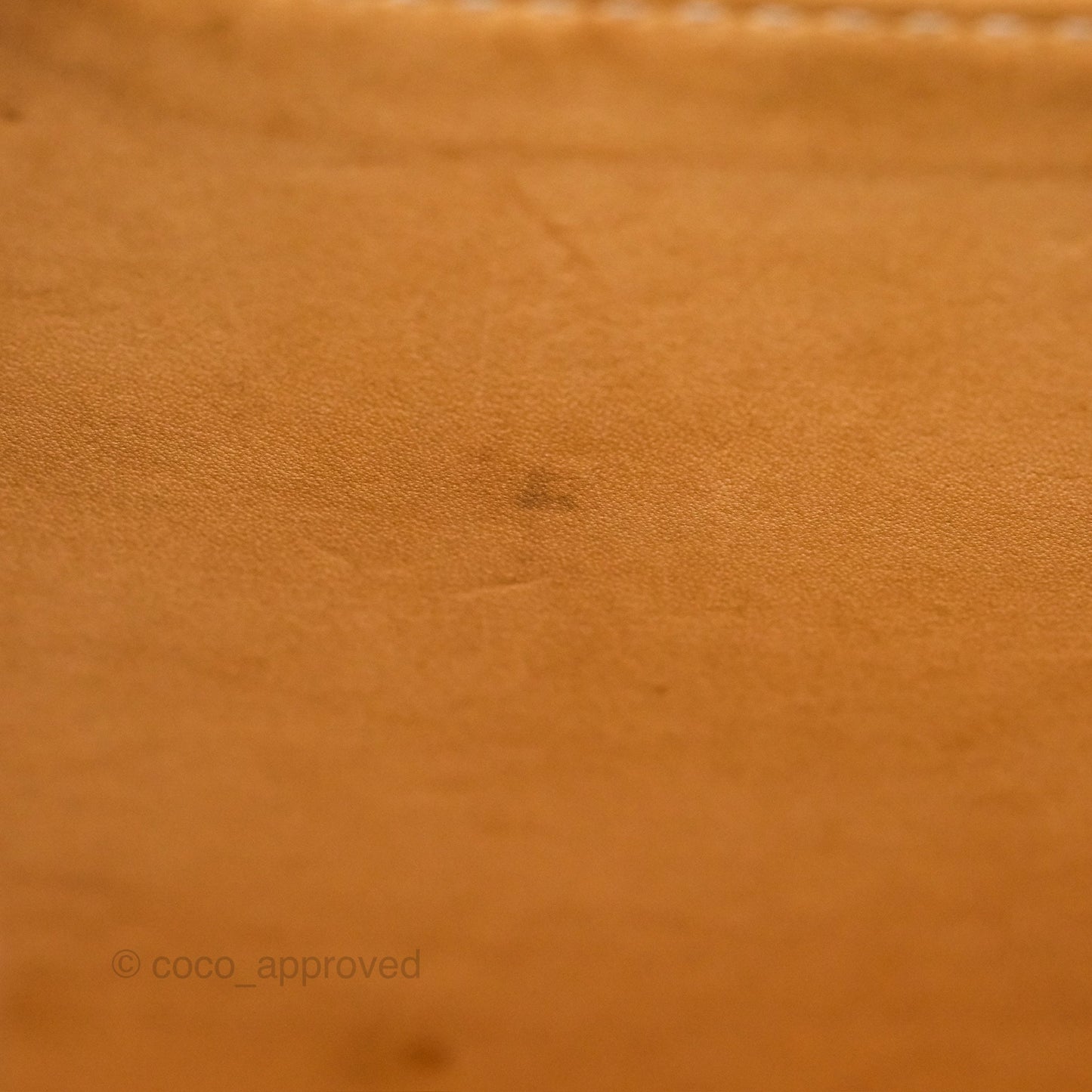 Delvaux Lingot Bag Pollen Alpina Calfskin