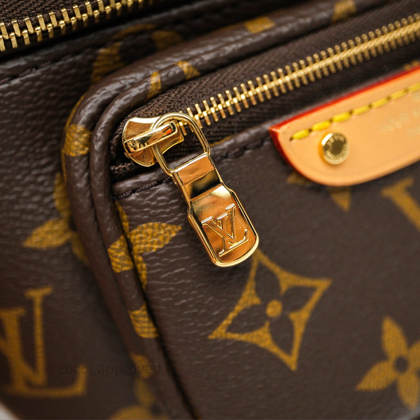 Louis Vitton Mini Bumbag in Monogram Canvas