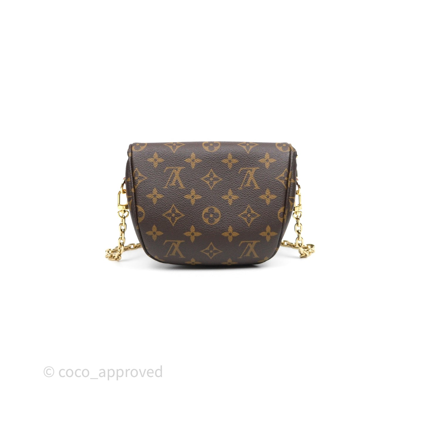 Louis Vitton Mini Bumbag in Monogram Canvas