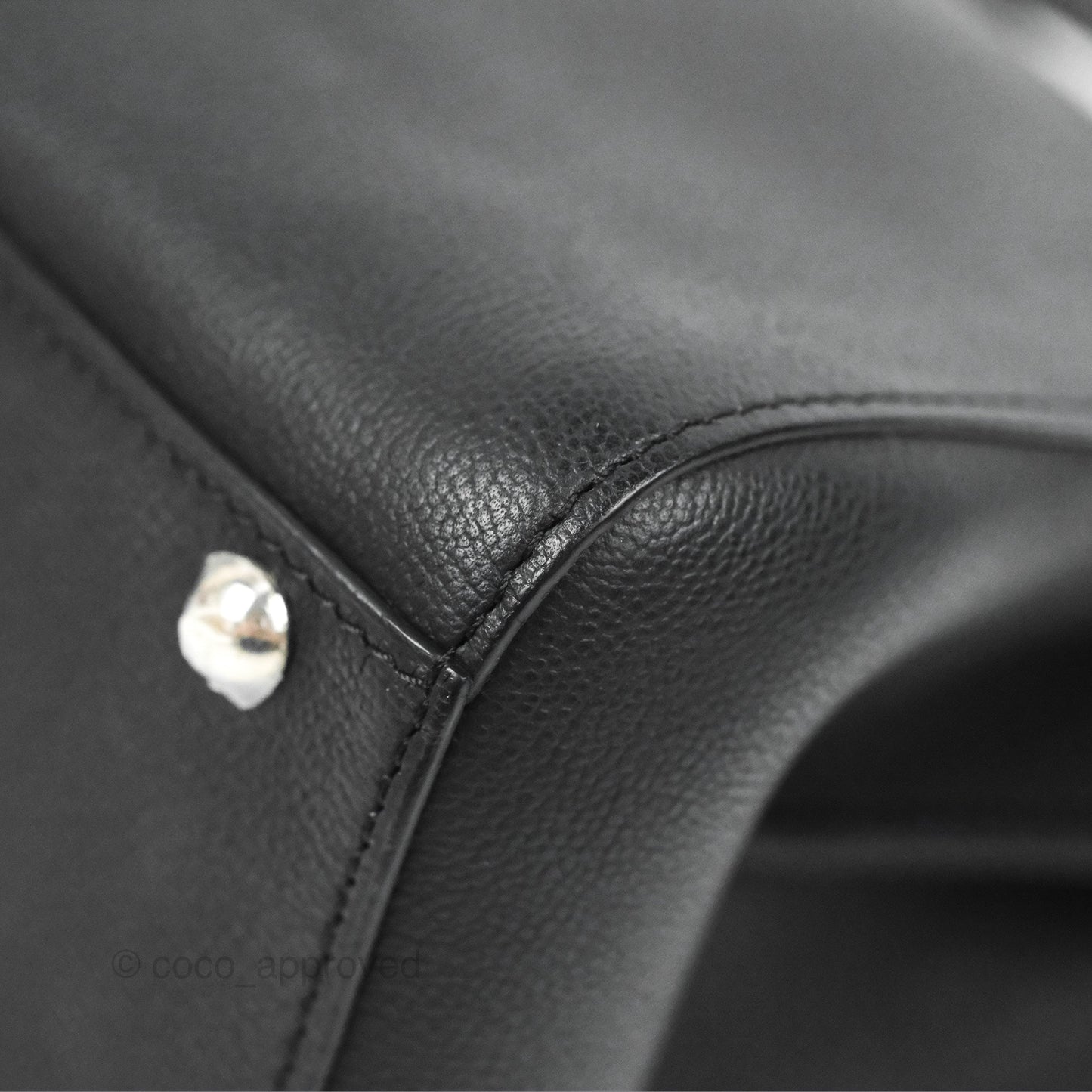 Delvaux Mini Brillant Bag Vegetal Rodeo Black Calf Silver Hardware