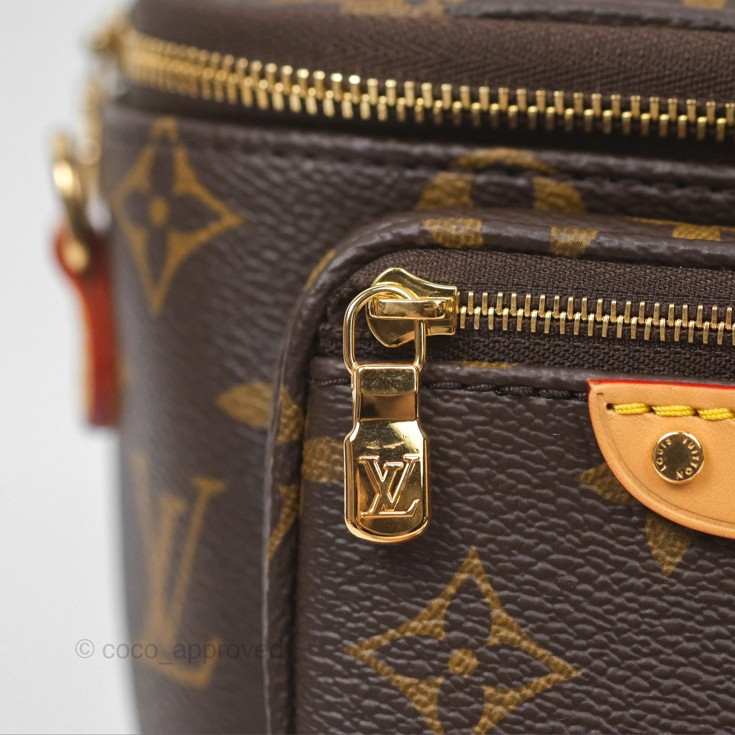 Louis Vitton Mini Bumbag in Monogram Canvas