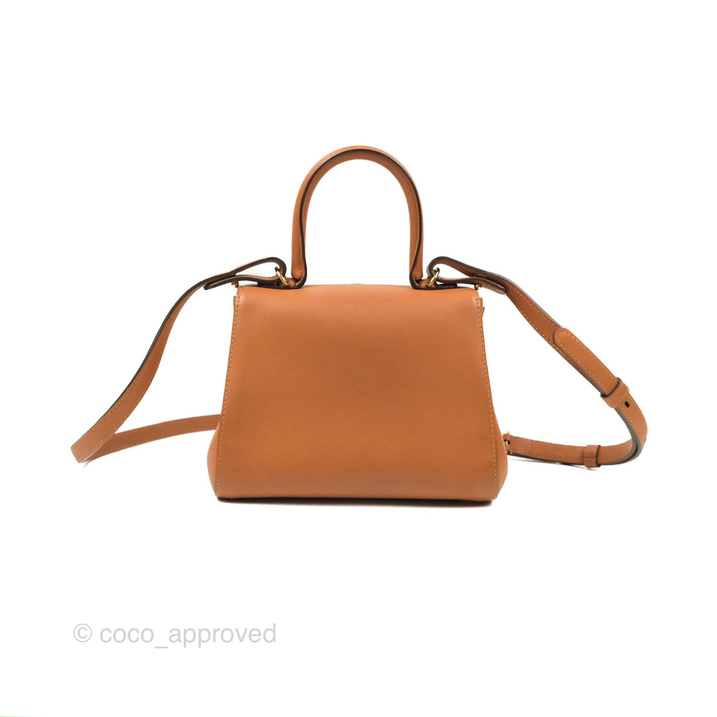 Delvaux Mini Brillant Bag Vegetal Rodeo Calf Gold Hardware