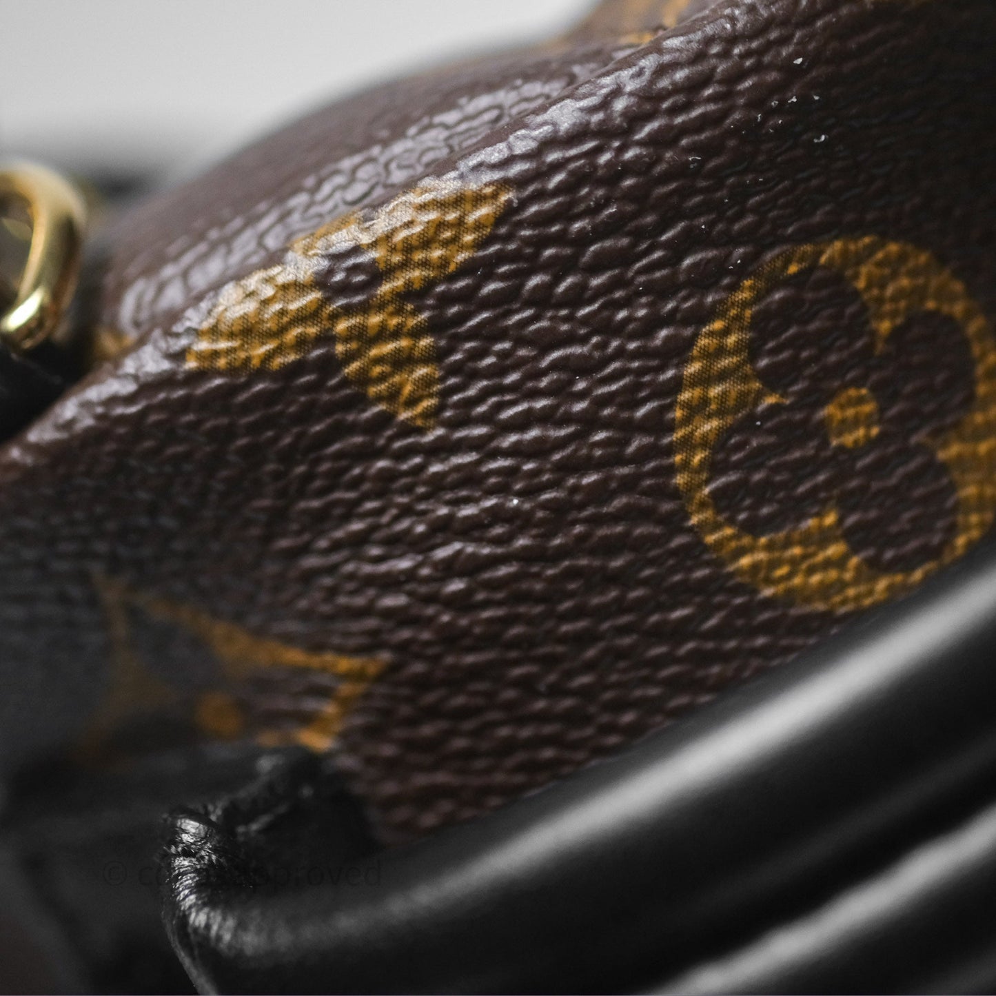 Louis Vuitton Monogram Mini Palm Springs Backpack⁣