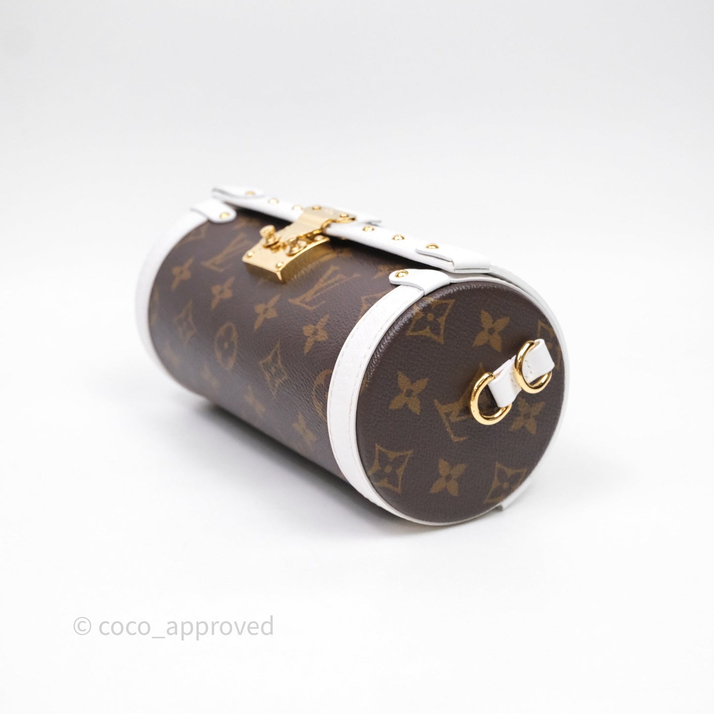 Louis Vuitton Monogram Papillon Trunk Bag