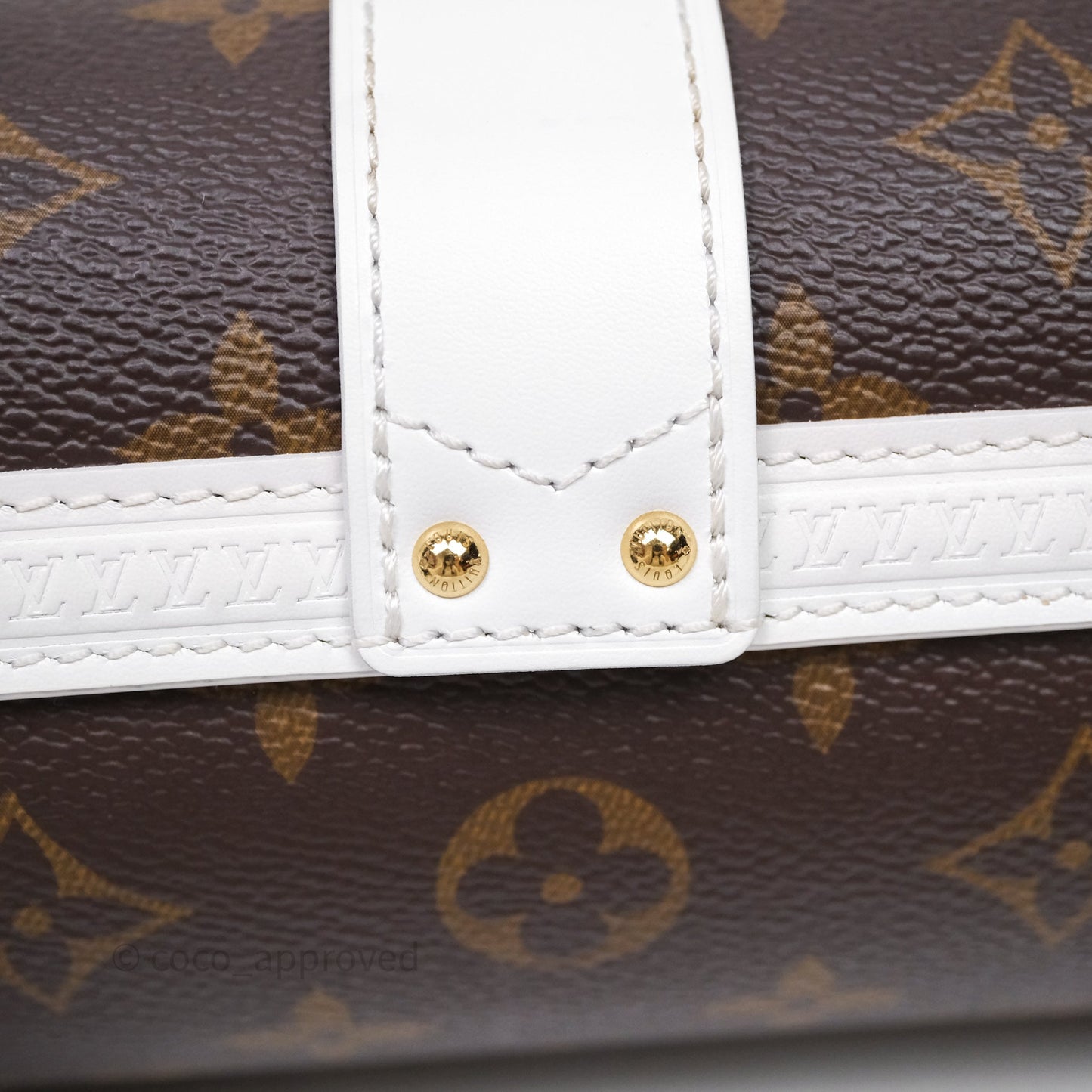 Louis Vuitton Monogram Papillon Trunk Bag