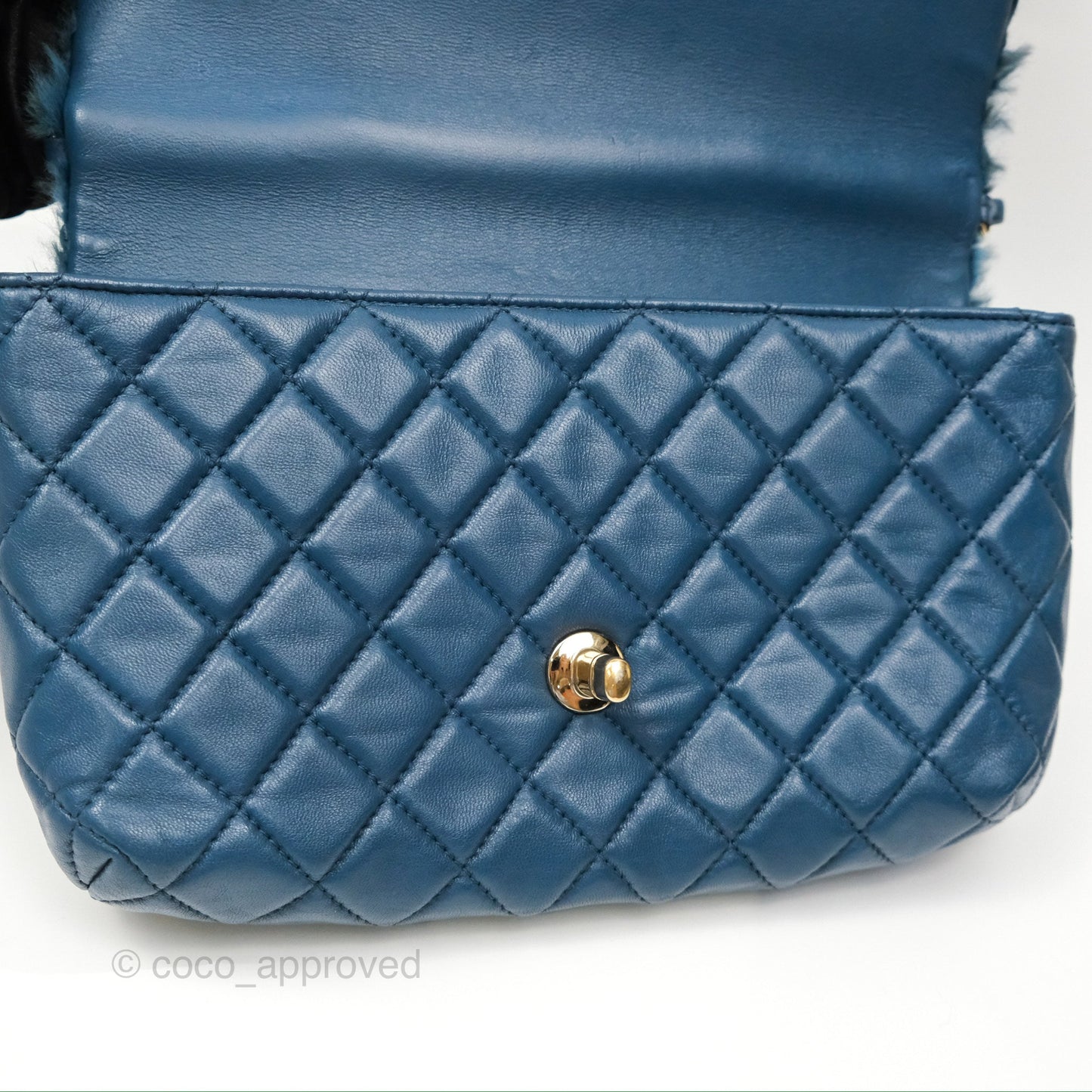 Chanel Top Handle Bag Green Blue Orylag Fur 17A