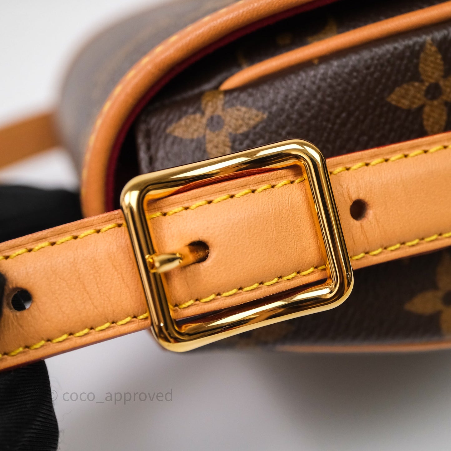 Louis Vuitton Tambourin Monogram Canvas Bag
