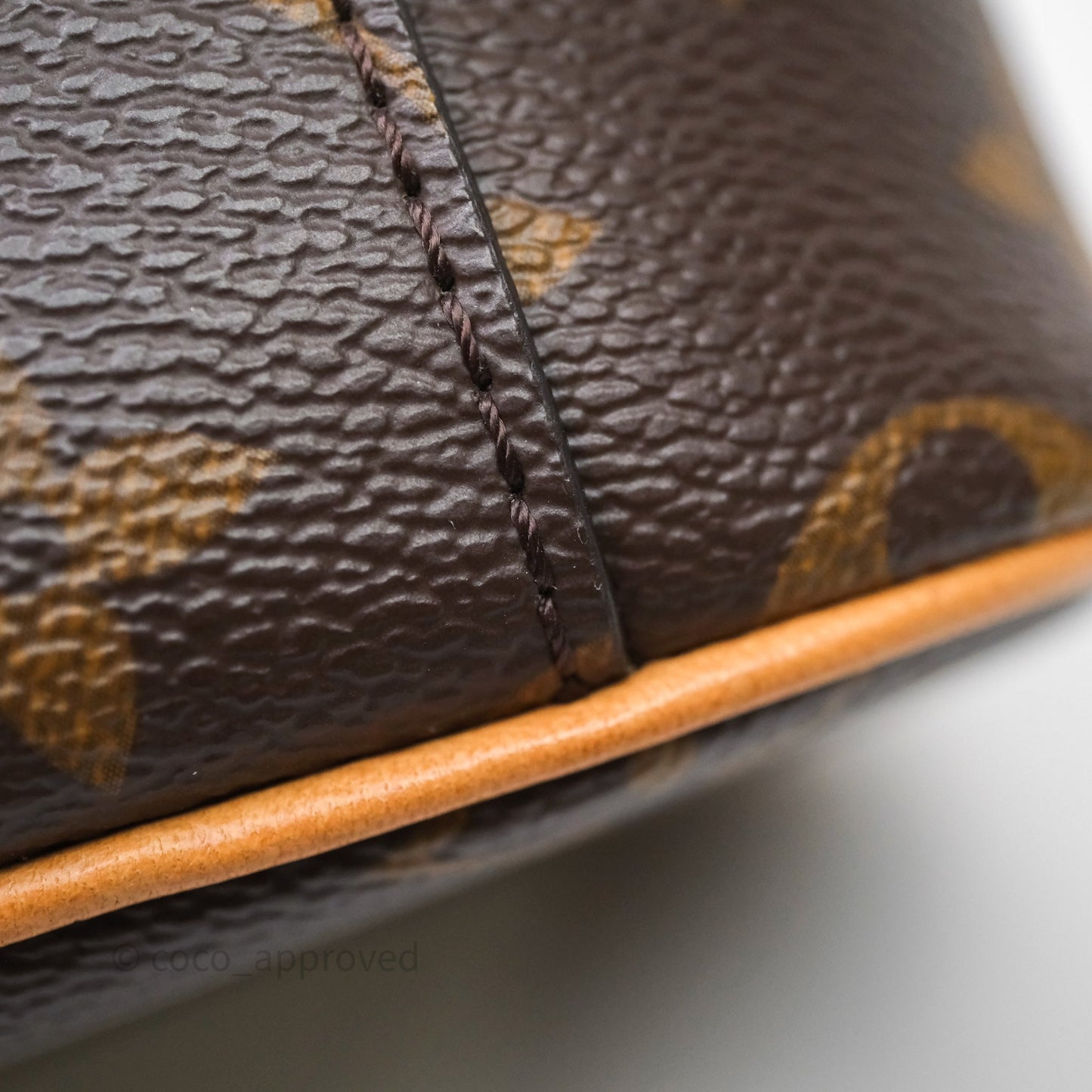 Louis Vuitton Nice Nano Monogram Canvas