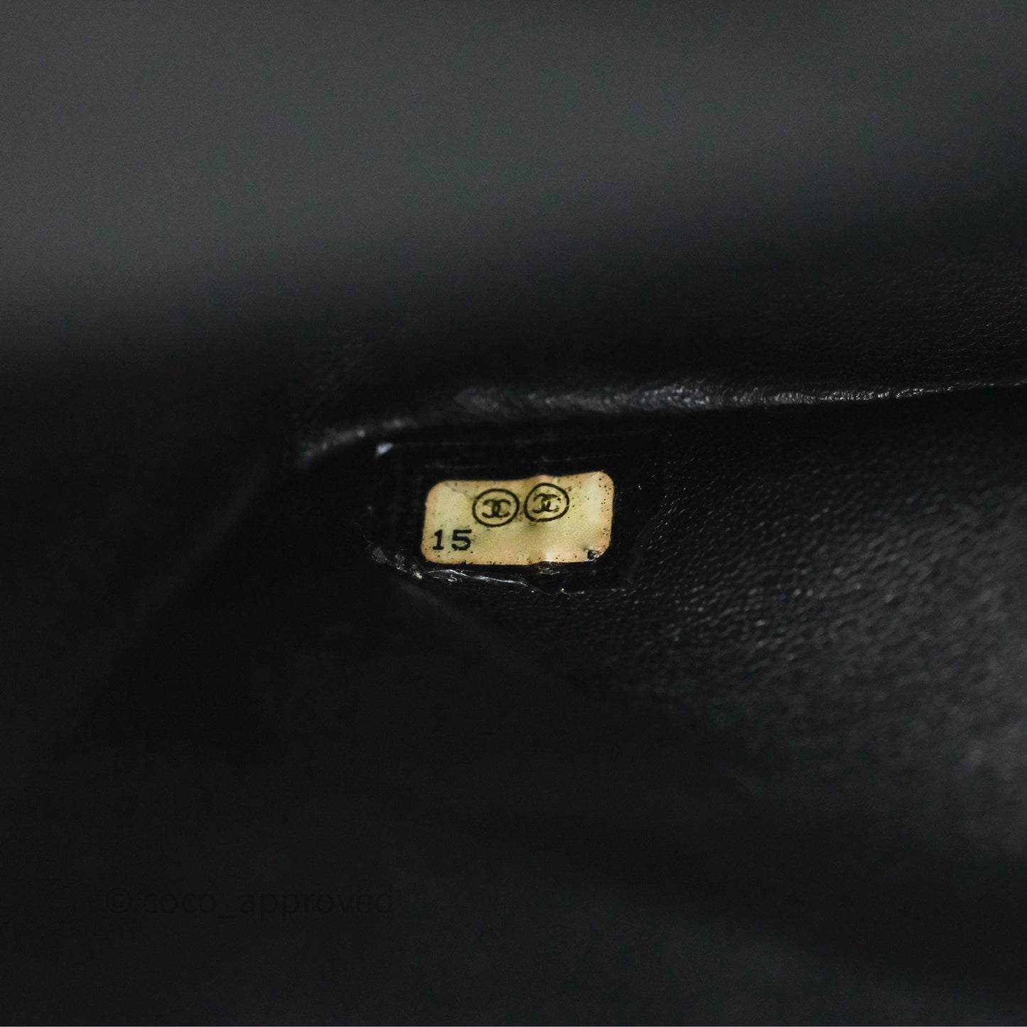 Chanel Classic M/L Medium Flap So Black Python Black Hardware