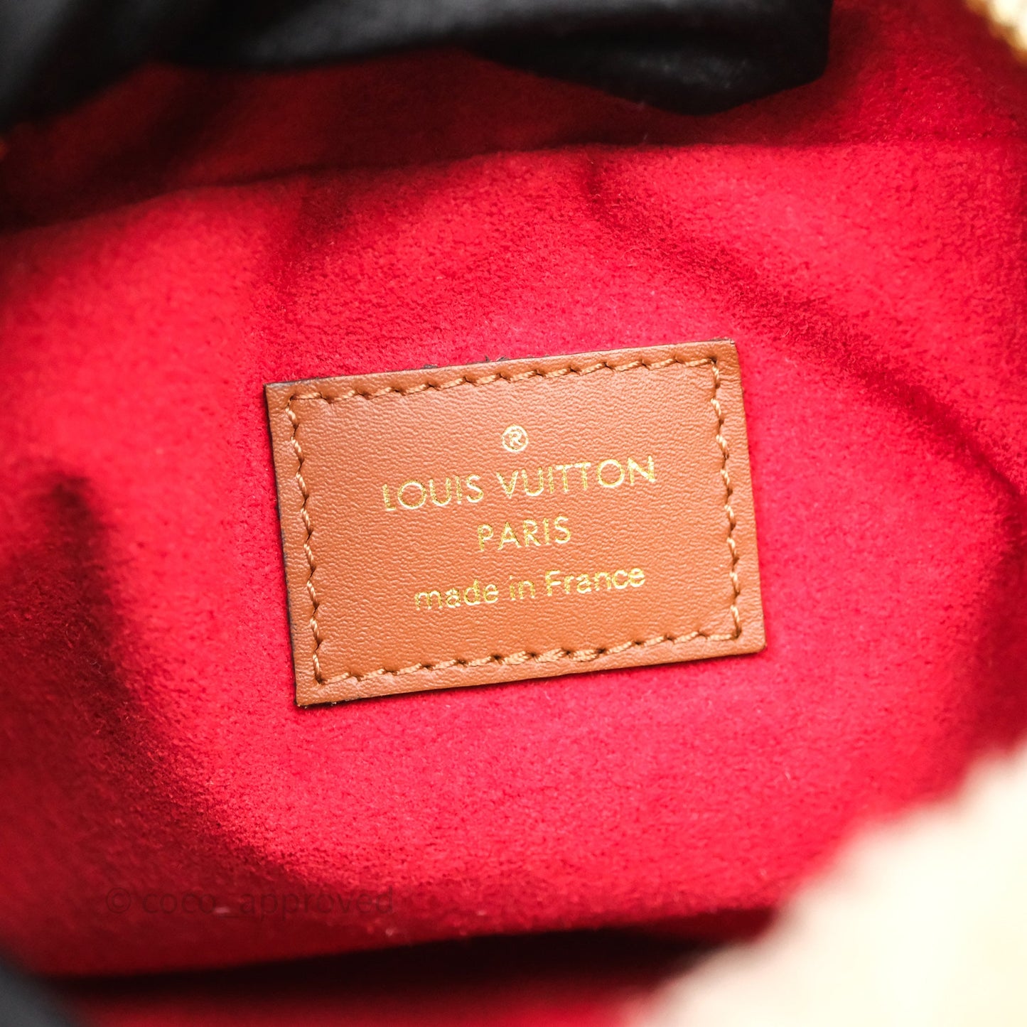 Louis Vuitton Teddy Beach Pouch Monogram