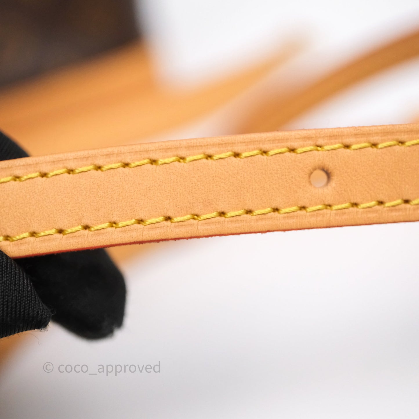 Louis Vuitton Nano Noe Monogram