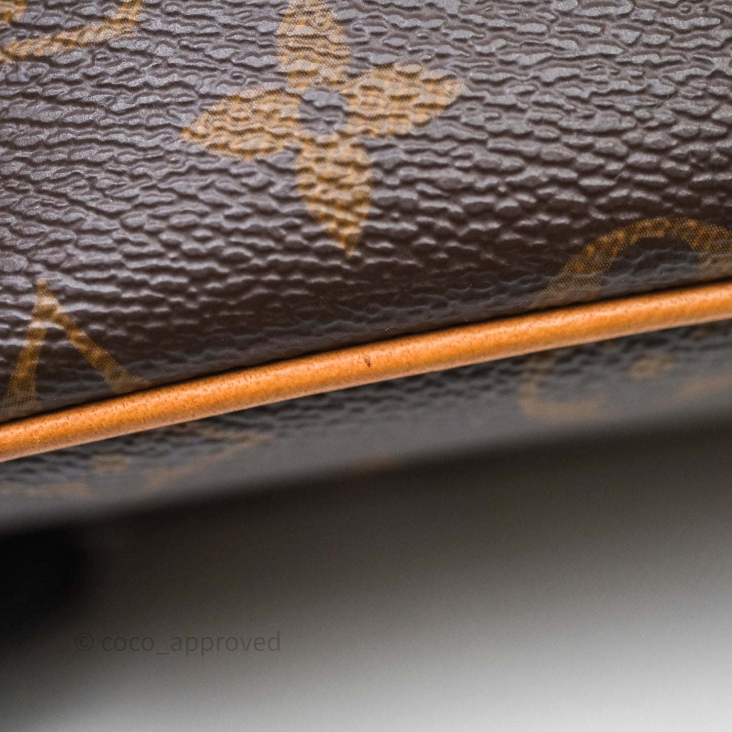 Louis Vuitton Nice Nano Monogram Canvas