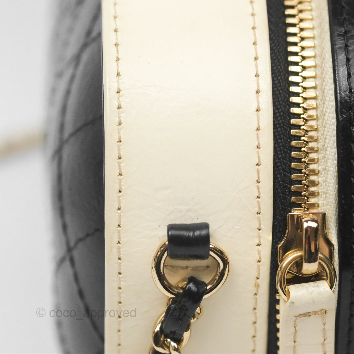 Chanel Camera Case Bag Black/White Calfskin Gold Hardware