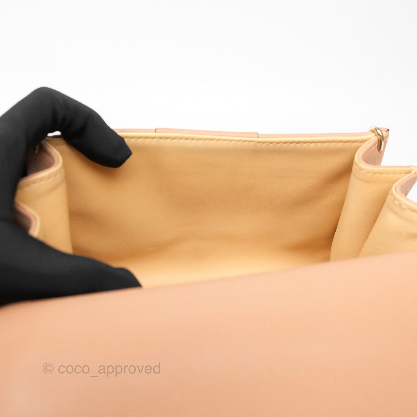 Delvaux Mini Brillant Bag Nude Grained Calfskin Gold Hardware