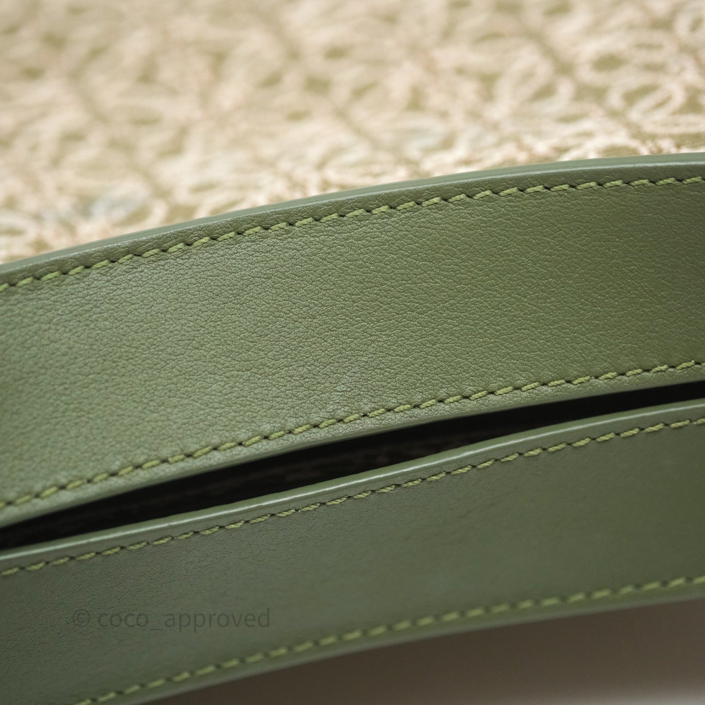 Loewe Small Luna Anagram Shoulder Bag Green Calfskin Jacquard