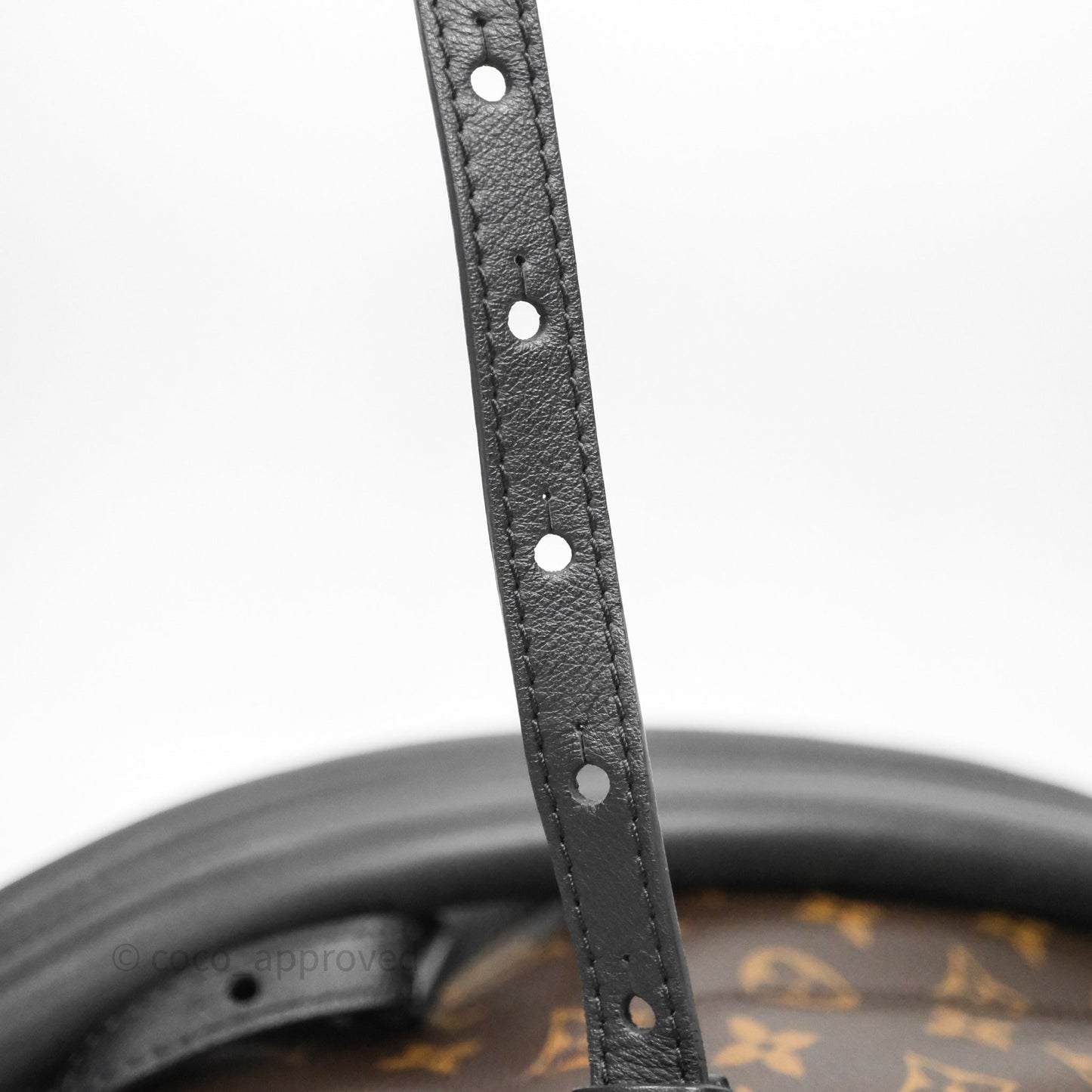 Louis Vuitton Palm Springs Backpack⁣ Monogram PM