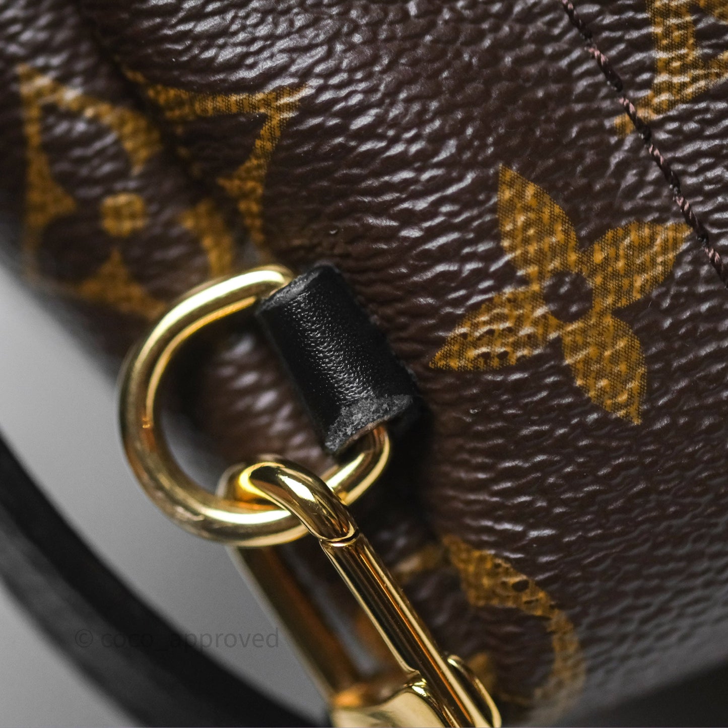 Louis Vuitton Monogram Mini Palm Springs Backpack⁣