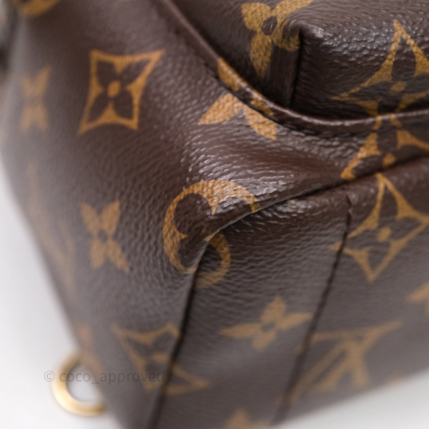 Louis Vuitton Mini Palm Springs Backpack⁣ Monogram
