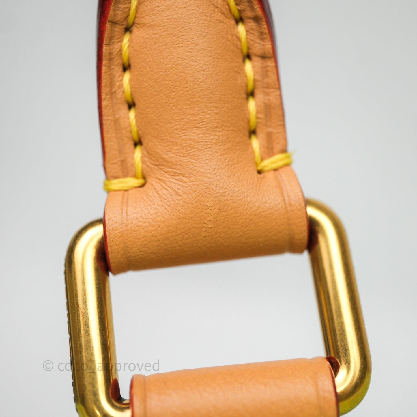 Louis Vuitton Speedy P9 Bandouliere 30 Vert Clair Bag