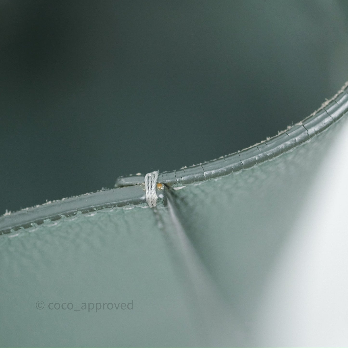 Celine Small Sangle Bucket Bag Light Green Celadon Grained Calfskin Silver Hardware