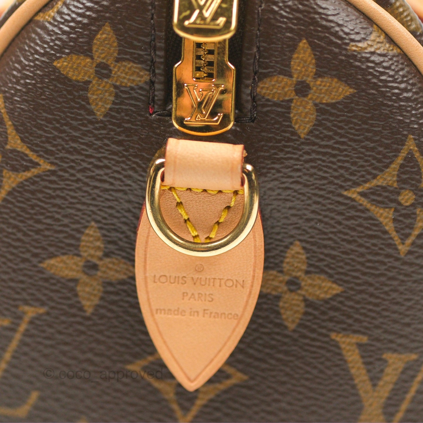 Louis Vuitton Speedy Bandoulière 20 Monogram