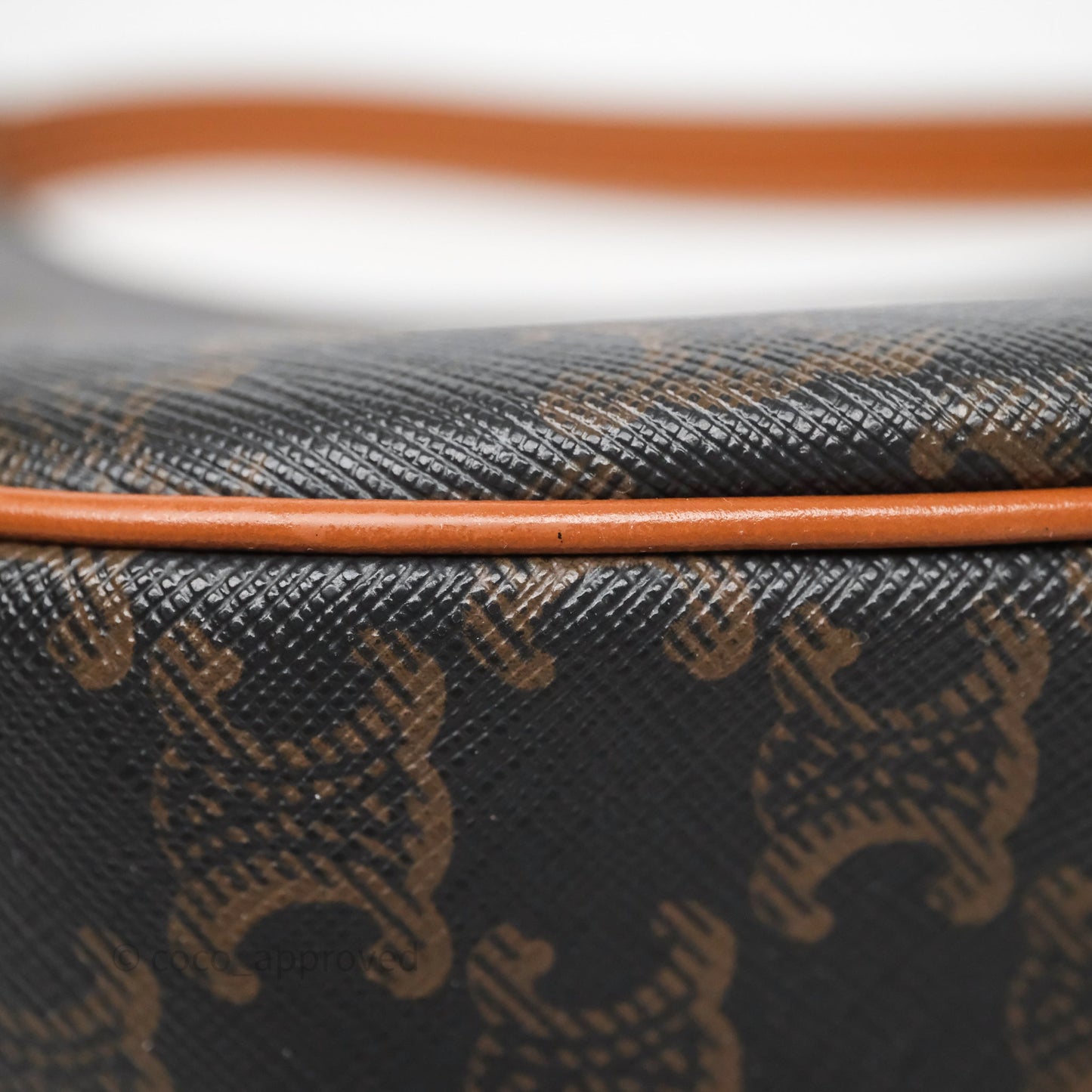 Celine Medium Ava Bag In Triomphe Canvas Calfskin Tan