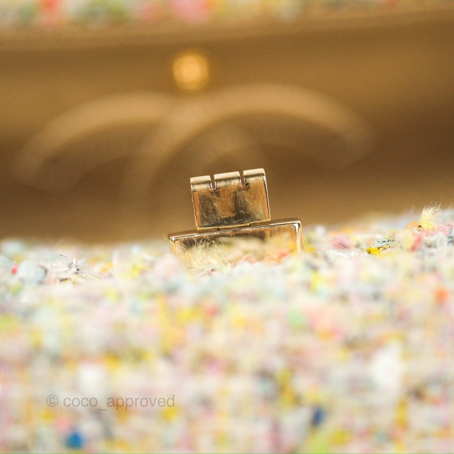 Chanel Reissue Tweed Pastel Garden Party Flap