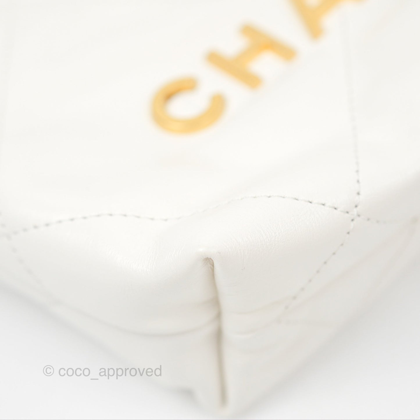 Chanel 22 Mini Bag White Crumpled Calfskin