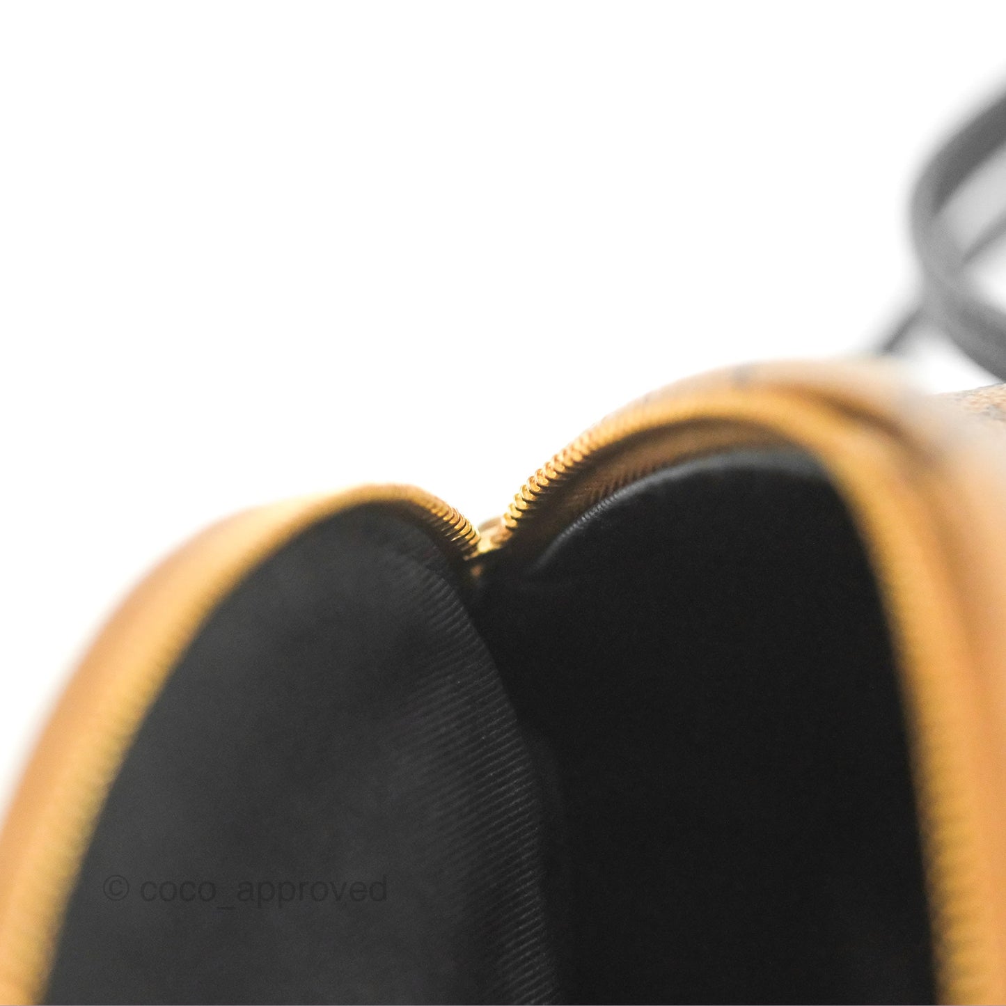 Louis Vuitton Reverse Mini Palm Springs Backpack⁣