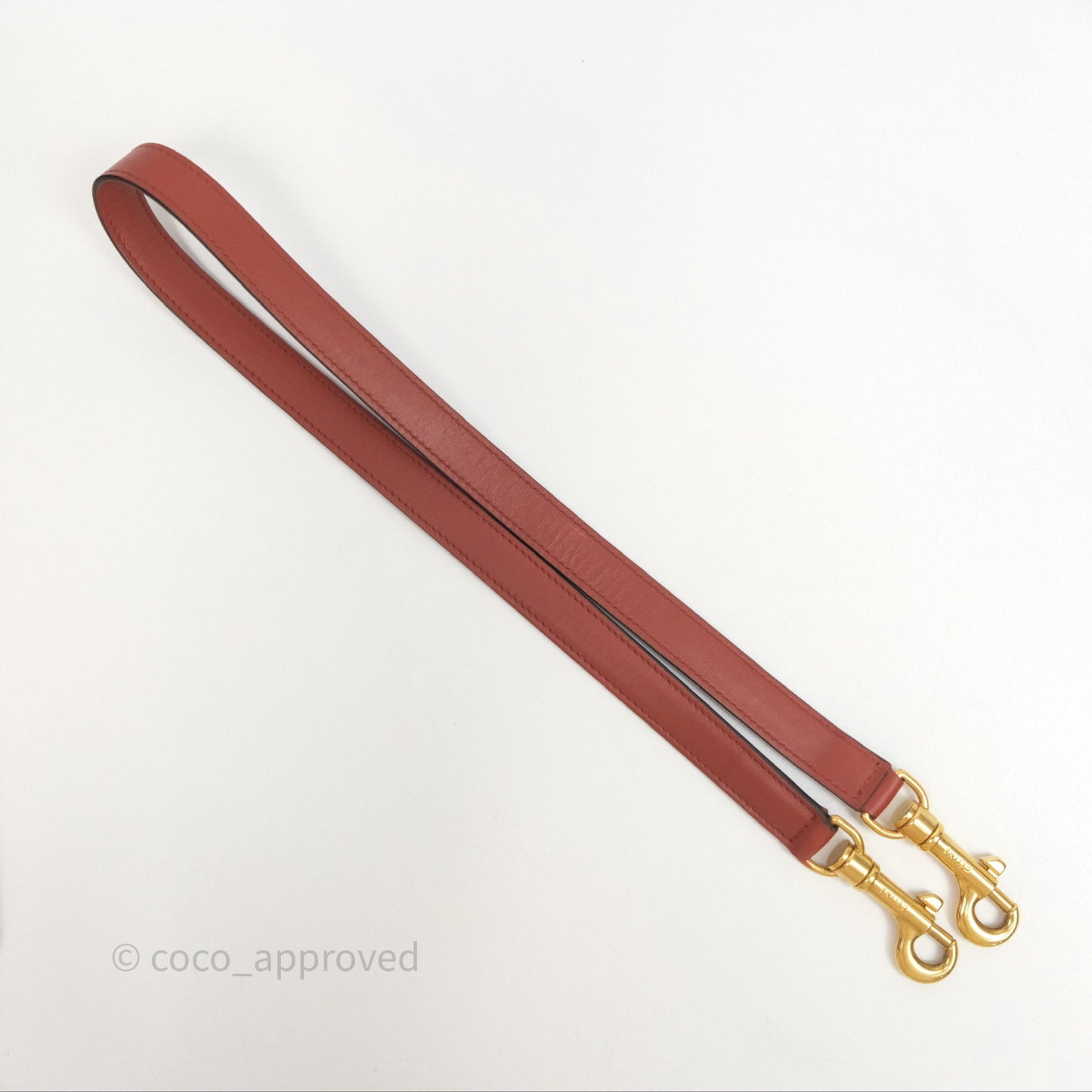 Celine Mini Belt Bag Brick Red Grained Goatskin Gold Hardware