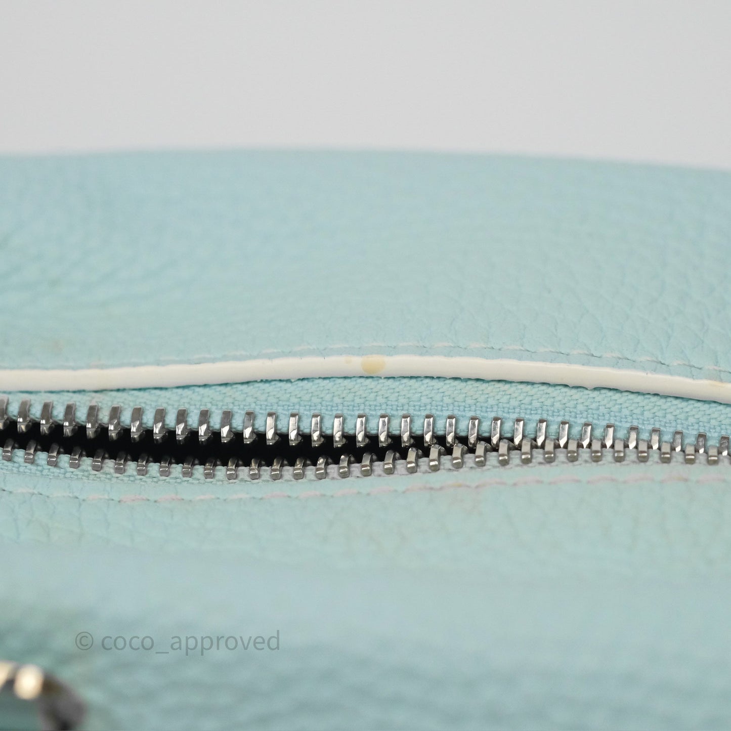 Delvaux Cool Box Mini Taurillon Soft Grained Calfskin Celadon