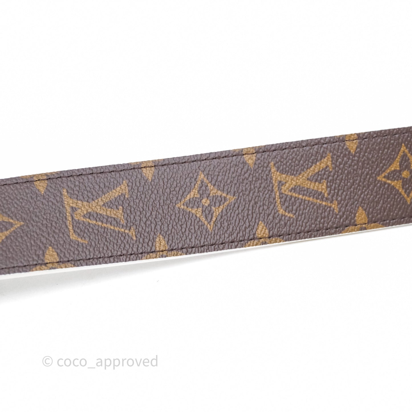 Louis Vuitton Monogram Papillon Trunk Bag
