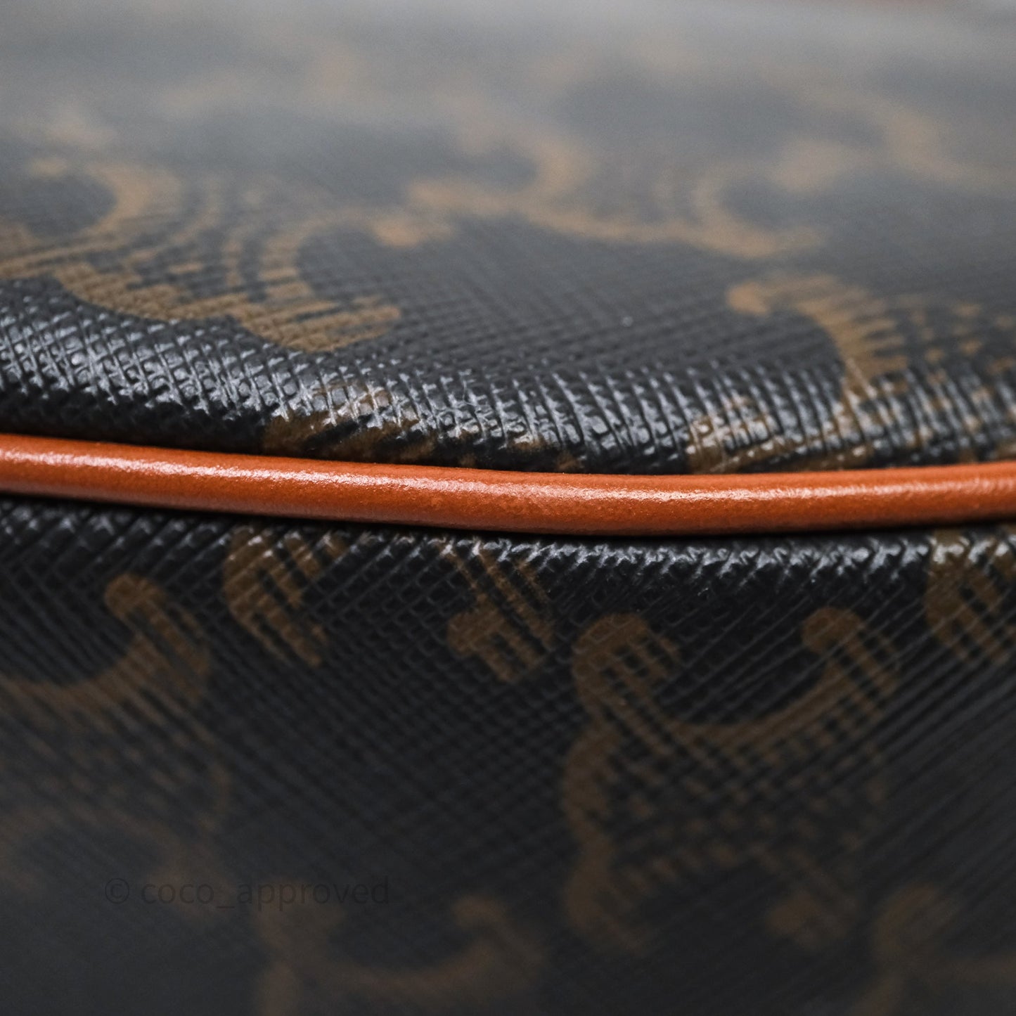 Celine Ava Bag In Triomphe Canvas Calfskin Tan