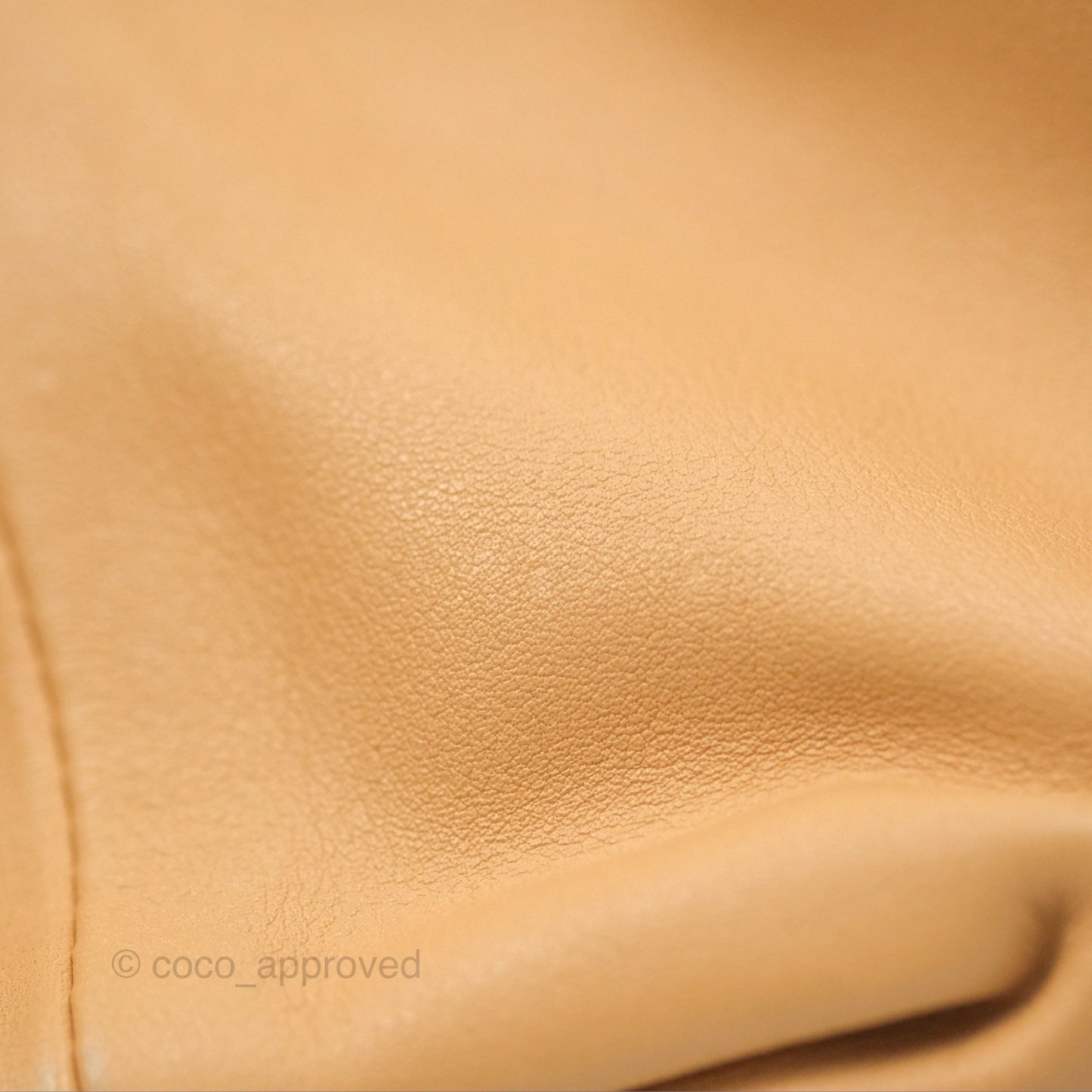 Bottega Veneta Teen Double Knot Hobo Almond Calfskin