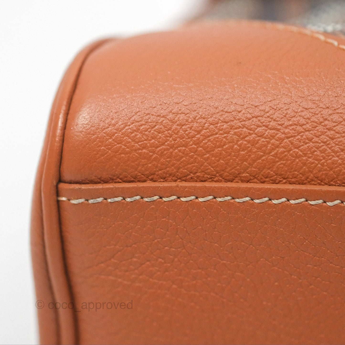 Goyard Saïgon Mini Bag Tan Goyardine Canvas/Chevroches Calfskin