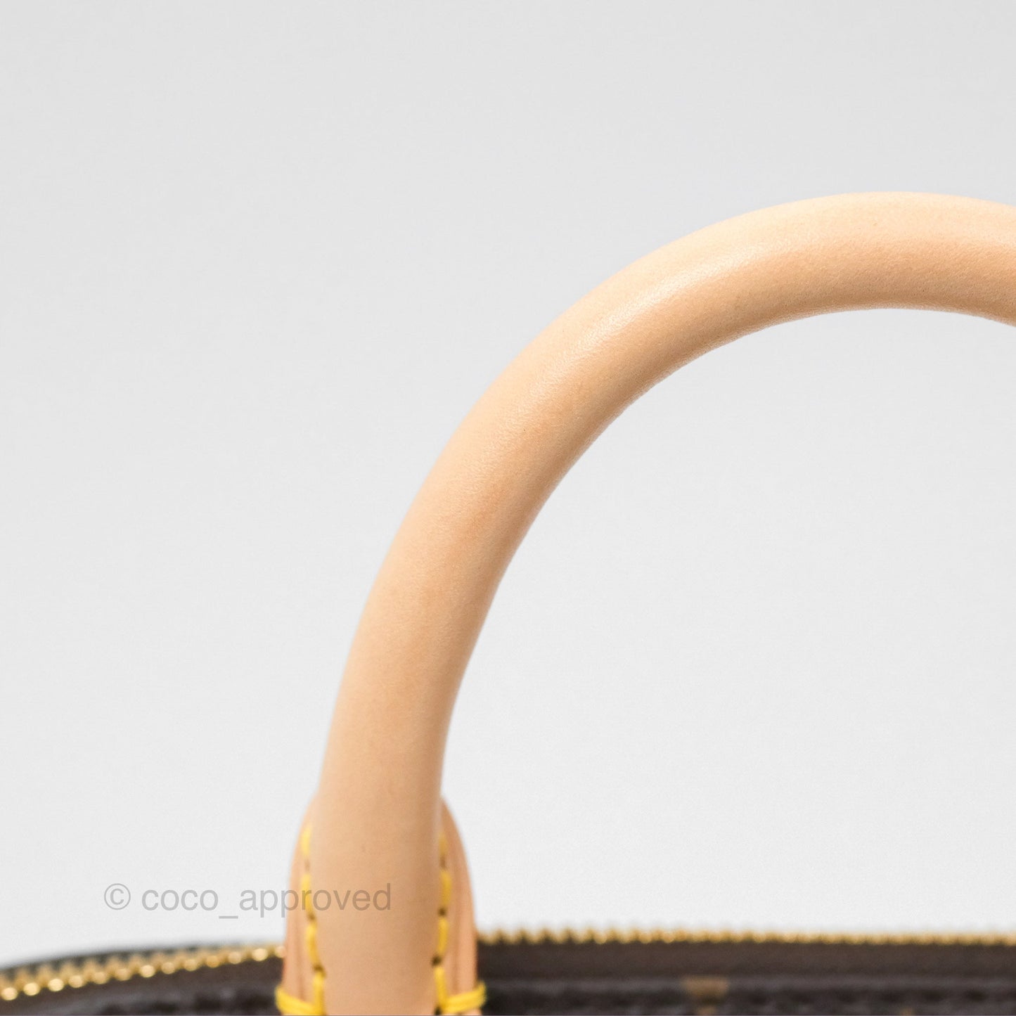 Louis Vuitton Speedy Bandoulière 20 Monogram