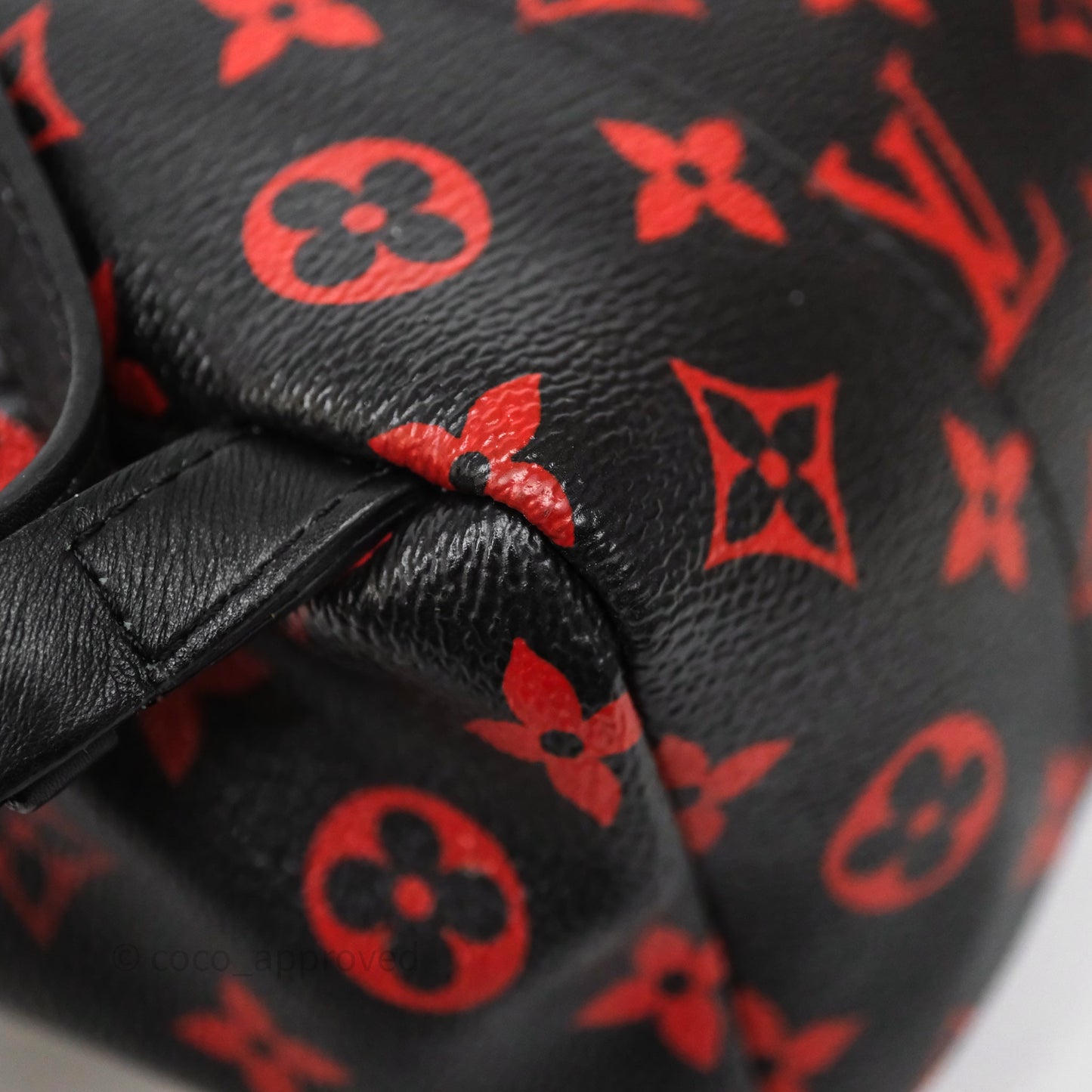 Louis Vuitton Palm Springs Backpack⁣ Monogram PM Infrarouge