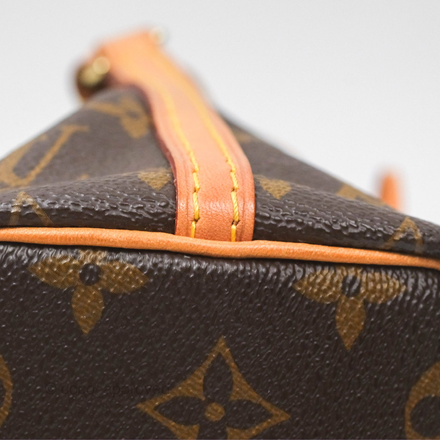 Louis Vuitton Nano Noe Monogram Canvas
