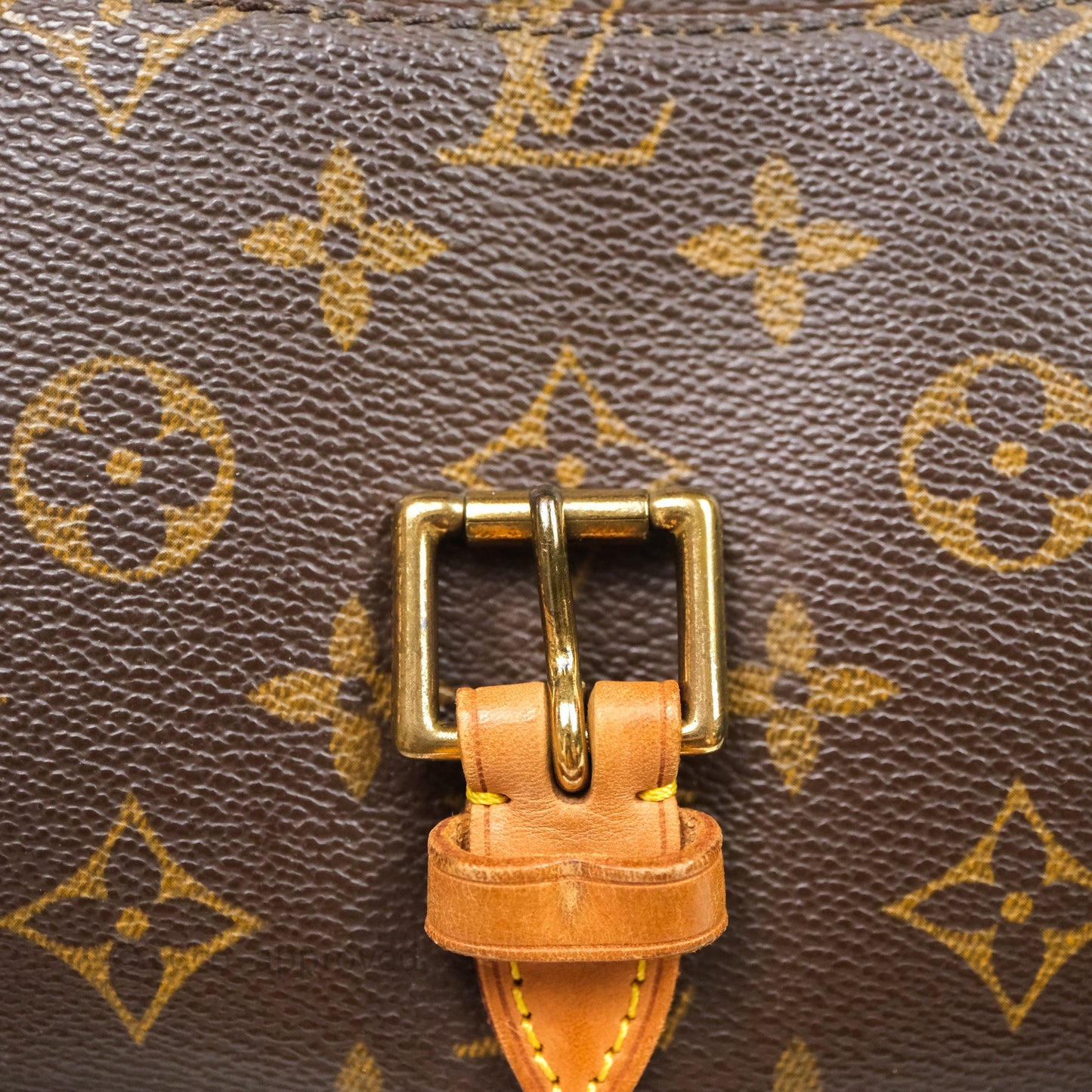 Louis Vuitton Vintage Diane Bag Monogram Canvas