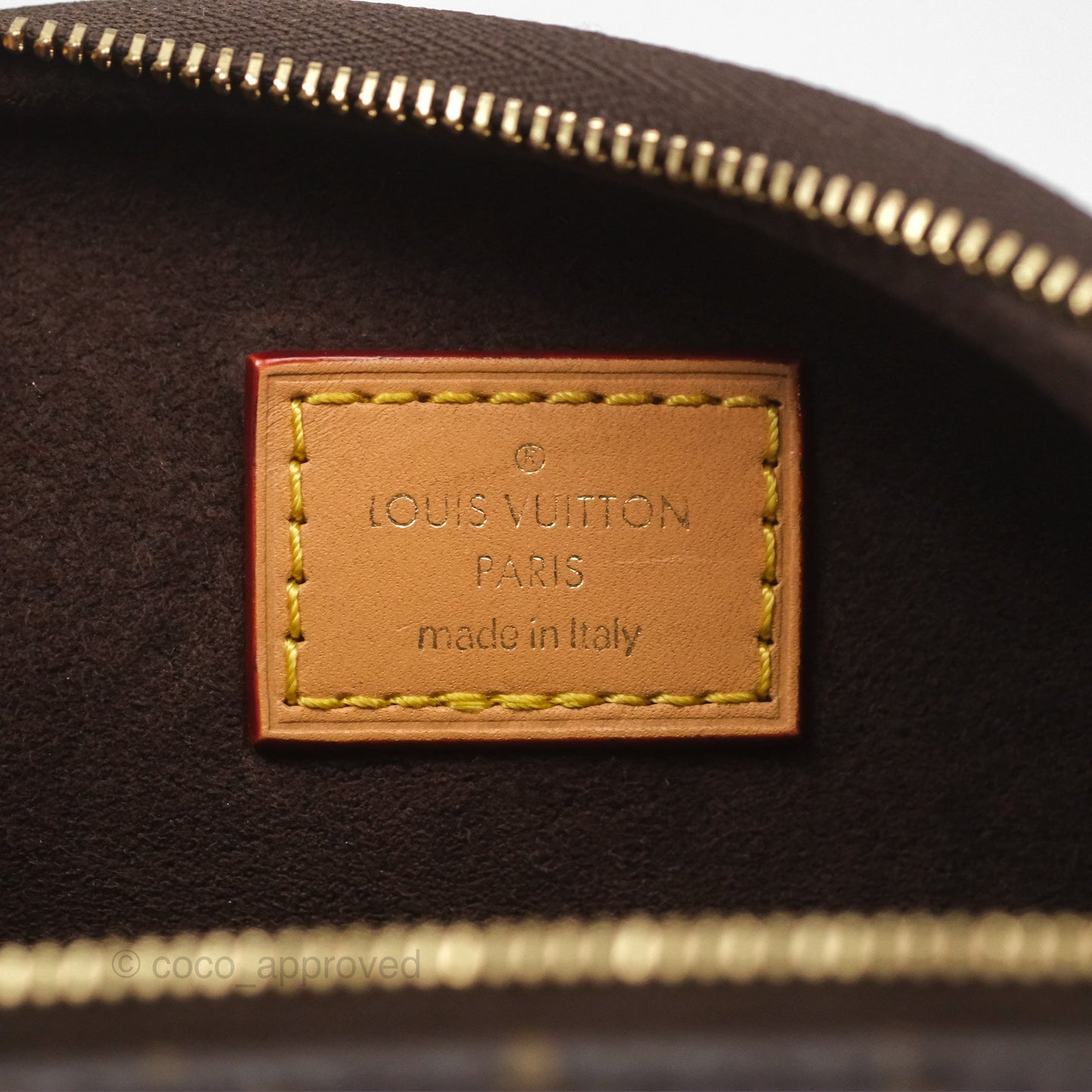 Louis Vitton Mini Bumbag in Monogram Canvas