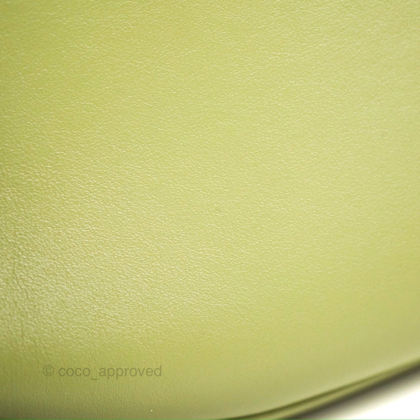 Celine Ava Bag Avocado Green Calfskin