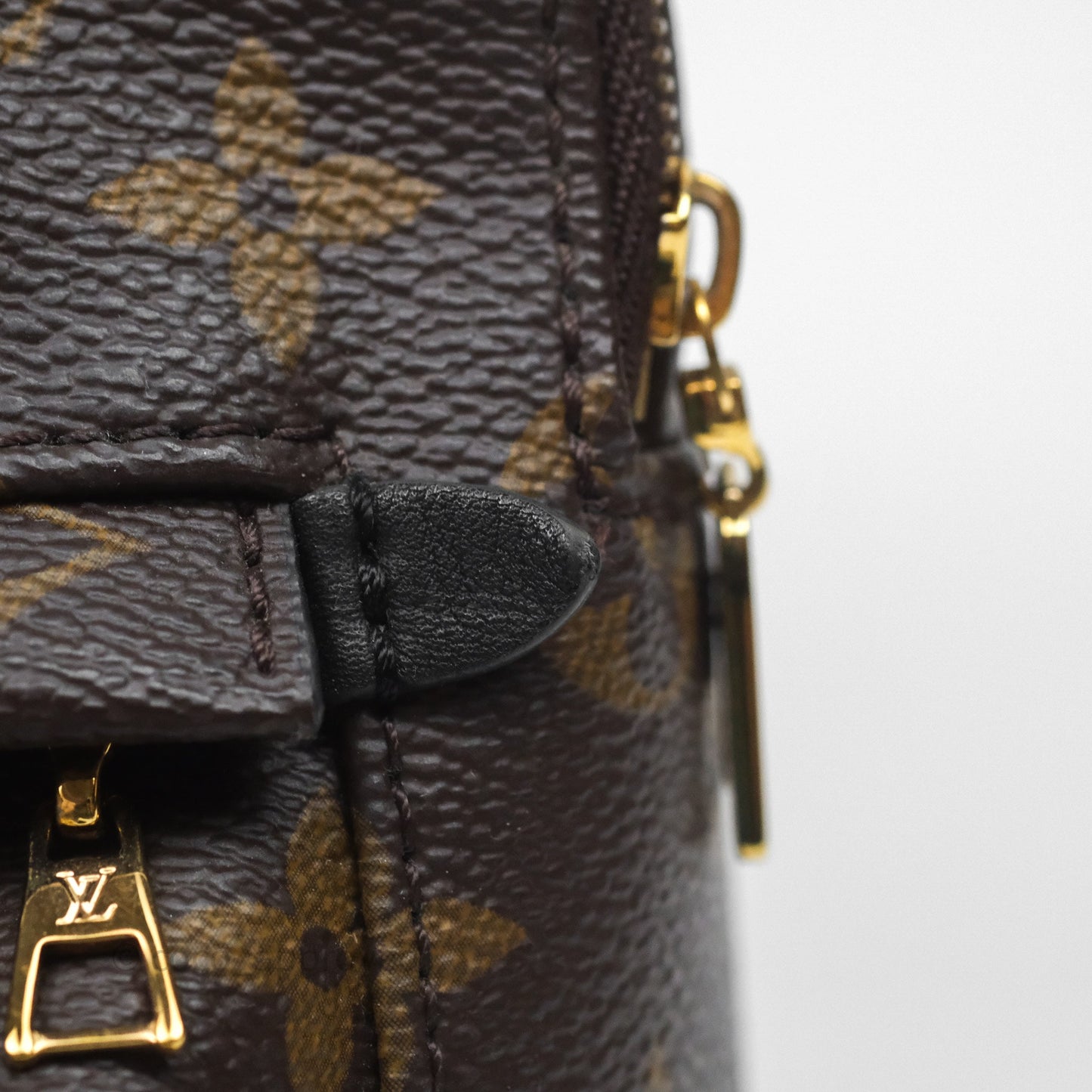 Louis Vuitton Mini Palm Springs Backpack⁣ Monogram