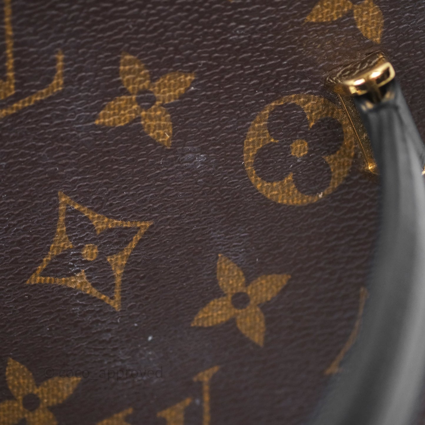 Louis Vuitton Monogram Canvas Reverse Cannes Bag